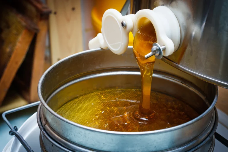 Drums of honey being unloaded